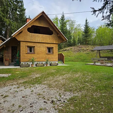 Venkovský dům In Koprivnik
